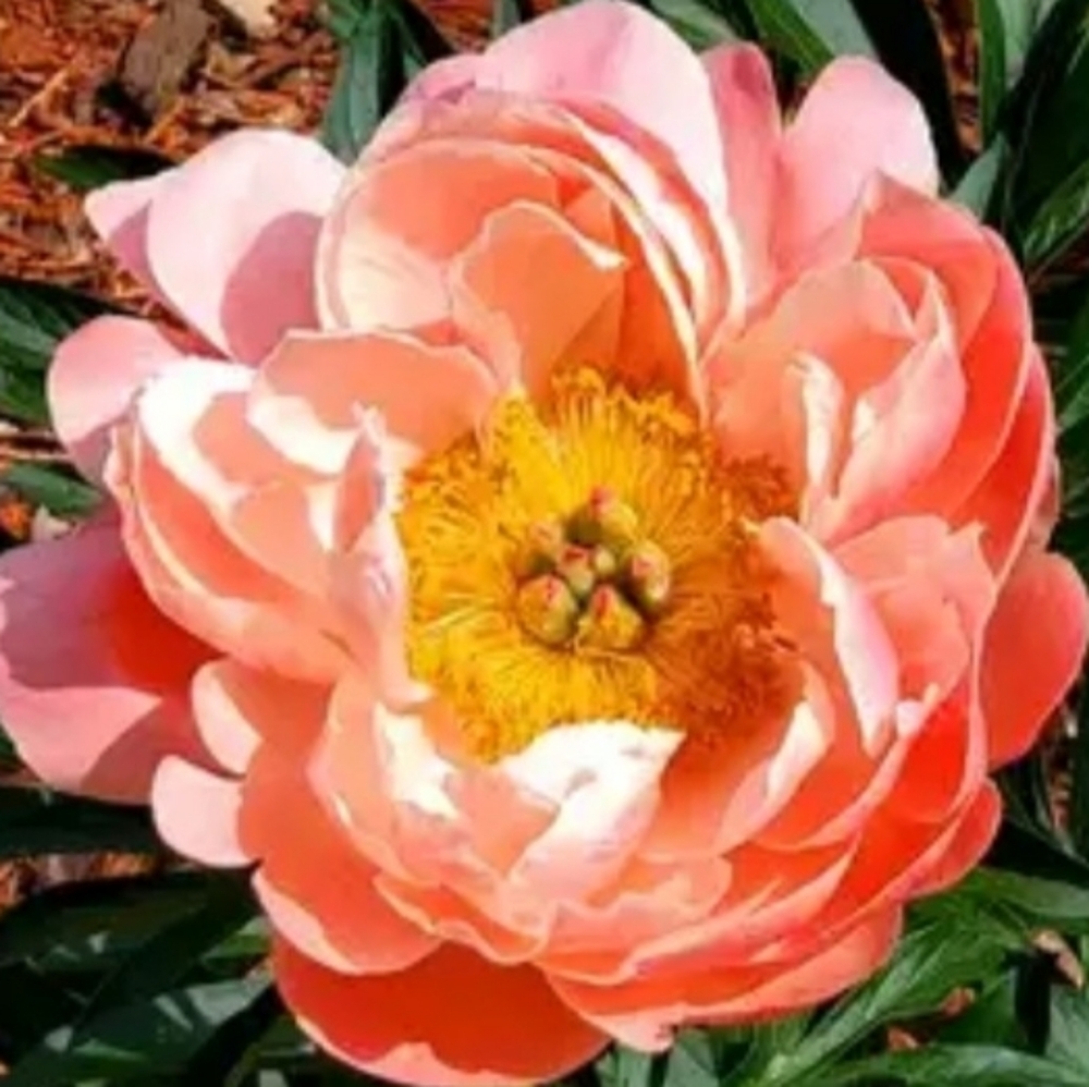Enjoy Mother Nature's Beauty